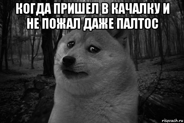 когда пришел в качалку и не пожал даже палтос , Мем    Грусть-пичаль