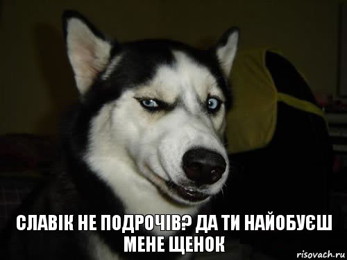 славік не подрочів? Да ти найобуєш мене щенок, Комикс  Собака подозревака