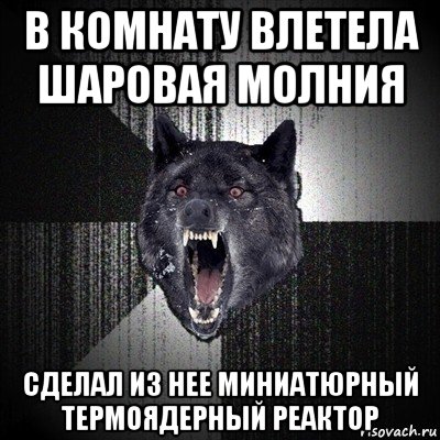 в комнату влетела шаровая молния сделал из нее миниатюрный термоядерный реактор, Мем Сумасшедший волк