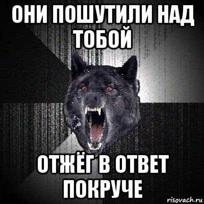 они пошутили над тобой отжёг в ответ покруче, Мем Сумасшедший волк