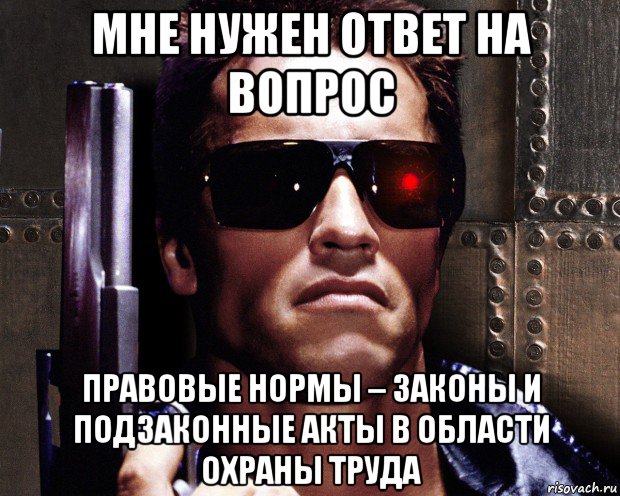 мне нужен ответ на вопрос правовые нормы – законы и подзаконные акты в области охраны труда, Мем   терминатор