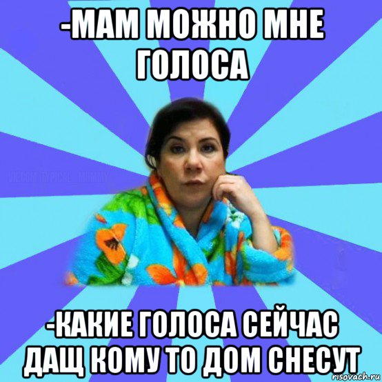 -мам можно мне голоса -какие голоса сейчас дащ кому то дом снесут, Мем типичная мама