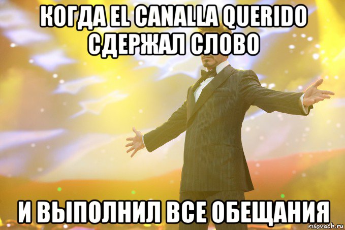 когда el canalla querido сдержал слово и выполнил все обещания, Мем Тони Старк (Роберт Дауни младший)