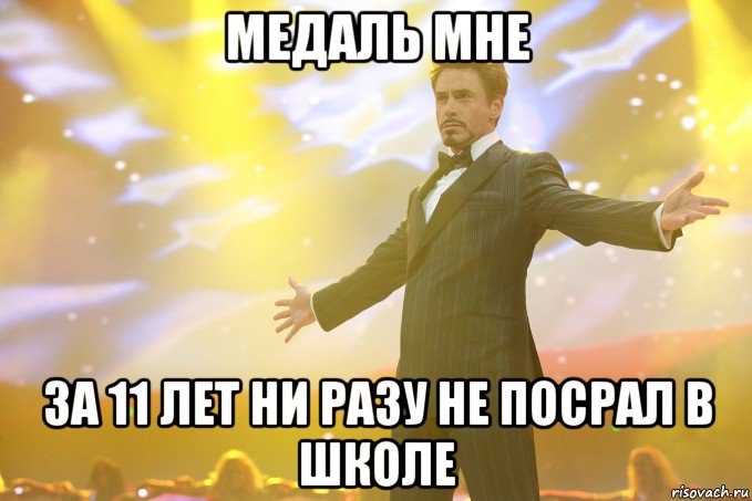 медаль мне за 11 лет ни разу не посрал в школе, Мем Тони Старк (Роберт Дауни младший)