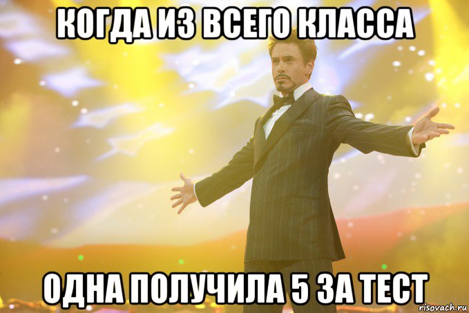 когда из всего класса одна получила 5 за тест, Мем Тони Старк (Роберт Дауни младший)