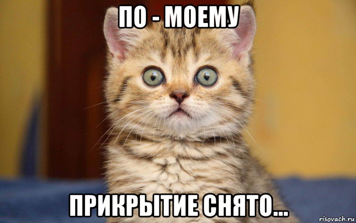 по - моему прикрытие снято...