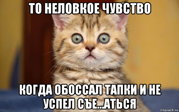 то неловкое чувство когда обоссал тапки и не успел съе...аться, Мем  удивление