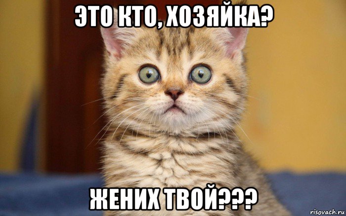 это кто, хозяйка? жених твой???, Мем  удивление