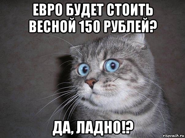 евро будет стоить весной 150 рублей? да, ладно!?, Мем  удивлённый кот