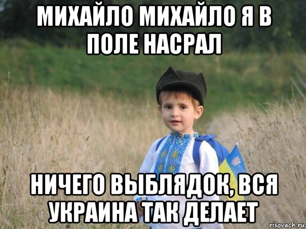 михайло михайло я в поле насрал ничего выблядок, вся украина так делает, Мем Украина - Единая