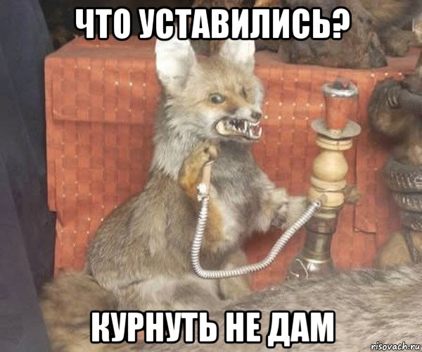 что уставились? курнуть не дам