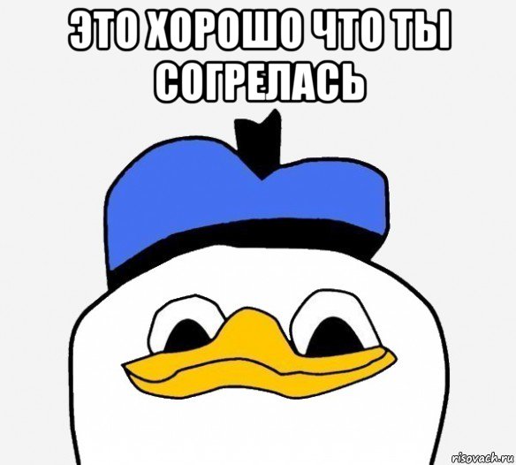 это хорошо что ты согрелась , Мем Утка