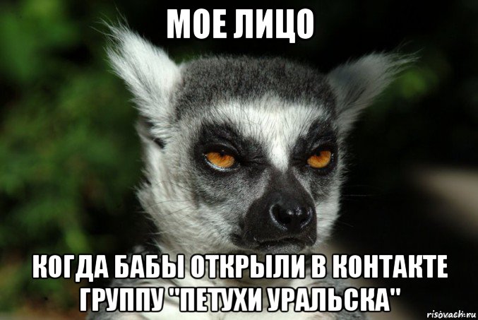 мое лицо когда бабы открыли в контакте группу "петухи уральска", Мем   Я збагоен