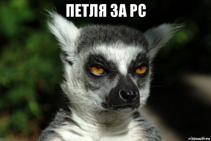 петля за pc , Мем   Я збагоен