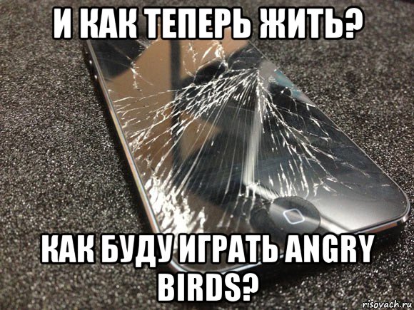 и как теперь жить? как буду играть angry birds?, Мем узбагойся