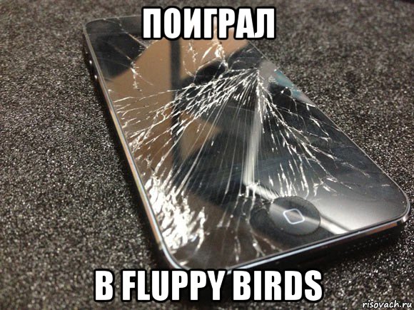 поиграл в fluppy birds