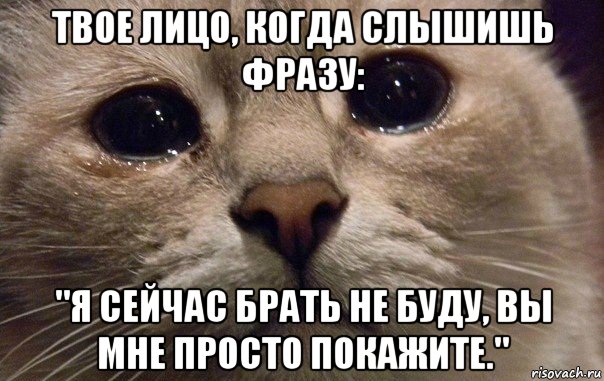 твое лицо, когда слышишь фразу: "я сейчас брать не буду, вы мне просто покажите.", Мем   В мире грустит один котик