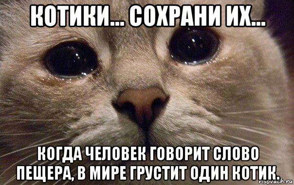 котики... сохрани их... когда человек говорит слово пещера, в мире грустит один котик., Мем   В мире грустит один котик