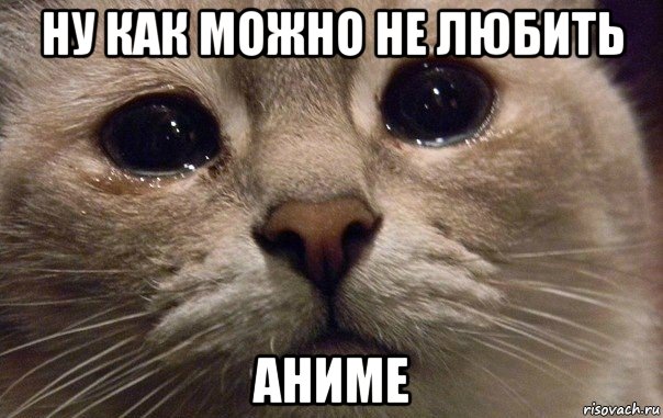 ну как можно не любить аниме, Мем   В мире грустит один котик
