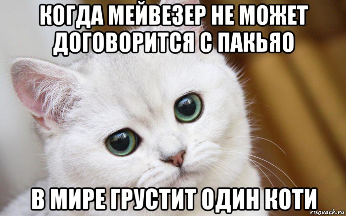 когда мейвезер не может договорится с пакьяо в мире грустит один коти, Мем  В мире грустит один котик