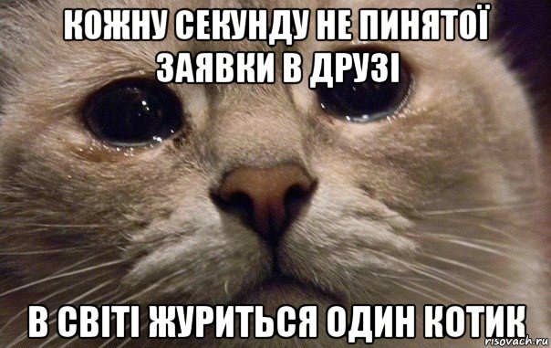 кожну секунду не пинятої заявки в друзі в світі журиться один котик, Мем   В мире грустит один котик