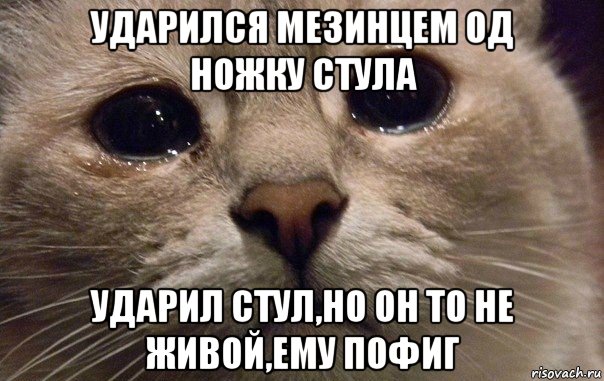 ударился мезинцем од ножку стула ударил стул,но он то не живой,ему пофиг, Мем   В мире грустит один котик