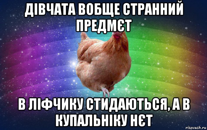 дівчата вобще странний предмєт в ліфчику стидаються, а в купальніку нєт