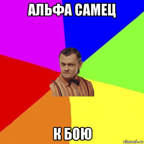 альфа самец к бою