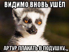 видимо вновь ушёл артур плакать в подушку, Мем Я збагоен