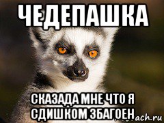 чедепашка сказада мне что я сдишком збагоен, Мем Я збагоен