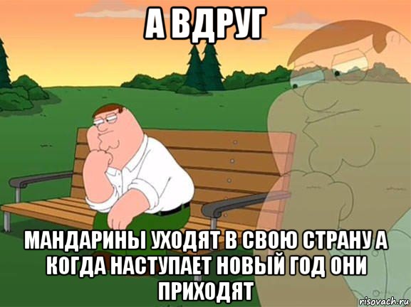 а вдруг мандарины уходят в свою страну а когда наступает новый год они приходят, Мем Задумчивый Гриффин