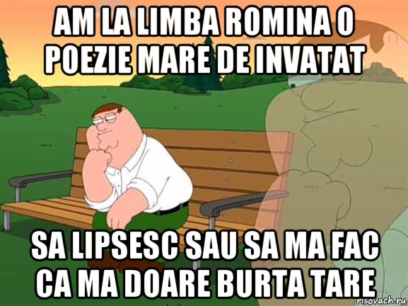 am la limba romina o poezie mare de invatat sa lipsesc sau sa ma fac ca ma doare burta tare, Мем Задумчивый Гриффин