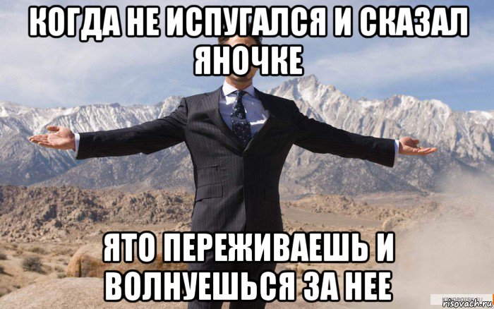 когда не испугался и сказал яночке ято переживаешь и волнуешься за нее, Мем железный человек