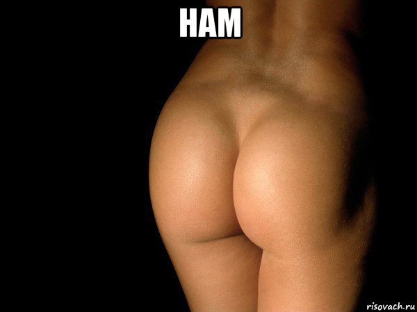 ham , Мем жопа