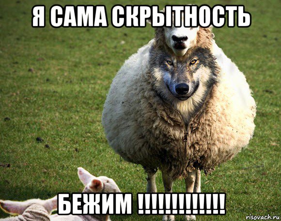 я сама скрытность бежим !!!!!!!!!!!!!, Мем Злая Овца