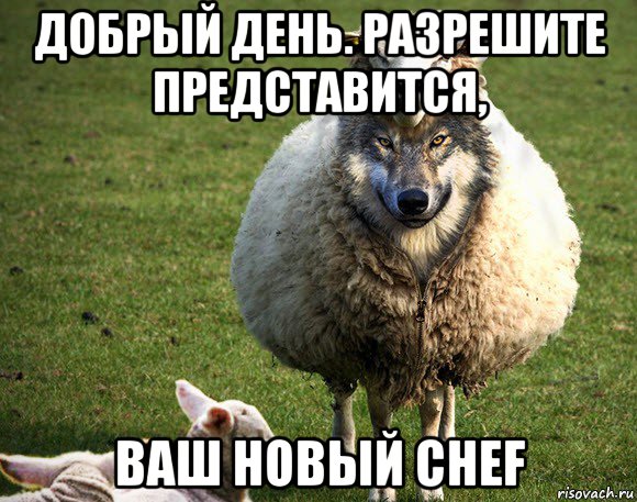 добрый день. разрешите представится, ваш новый chef, Мем Злая Овца