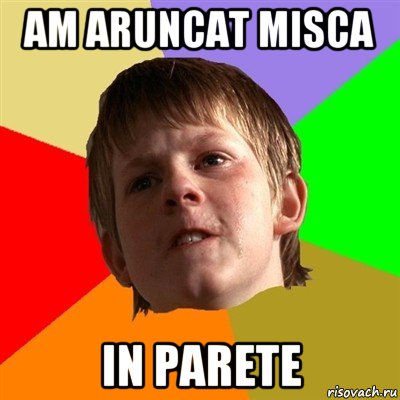 am aruncat misca in parete, Мем Злой школьник