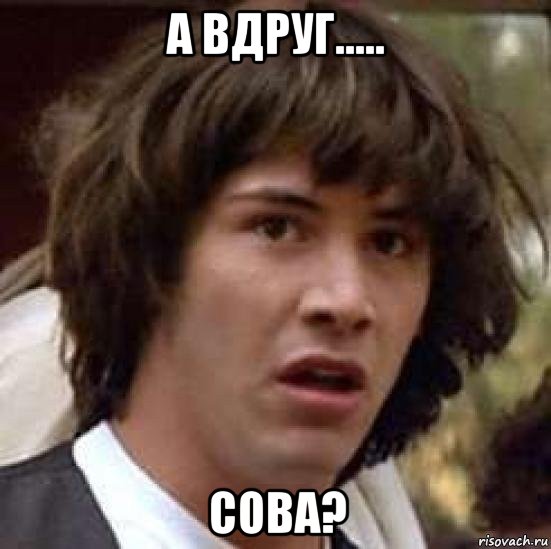 а вдруг..... сова?, Мем А что если (Киану Ривз)