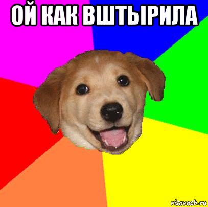 ой как вштырила , Мем Advice Dog