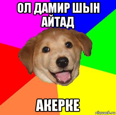 ол дамир шын айтад акерке, Мем Advice Dog