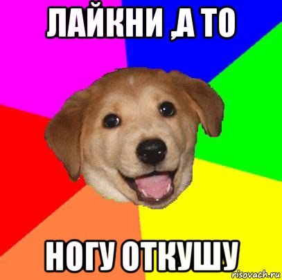 лайкни ,а то ногу откушу, Мем Advice Dog