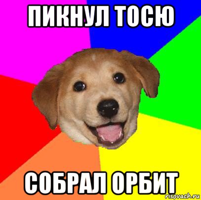 пикнул тосю собрал орбит, Мем Advice Dog