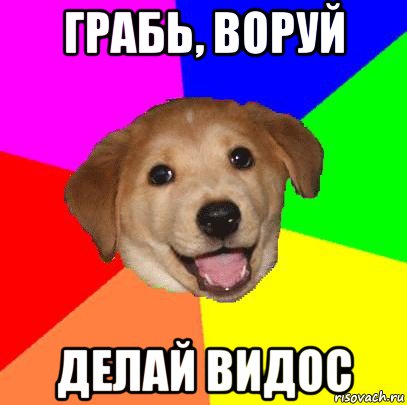 грабь, воруй делай видос, Мем Advice Dog