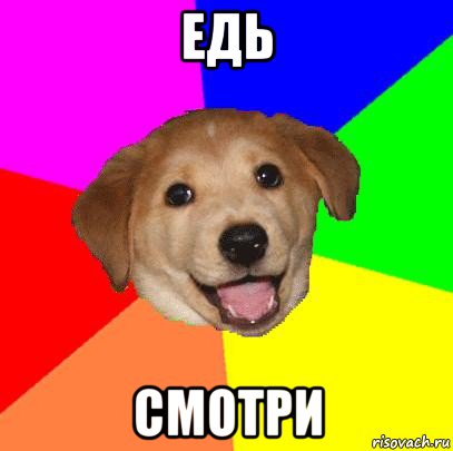 едь смотри, Мем Advice Dog