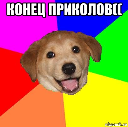 конец приколов(( , Мем Advice Dog