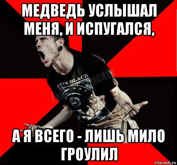 медведь услышал меня, и испугался, а я всего - лишь мило гроулил, Мем Агрессивный рокер