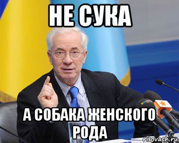 не сука а собака женского рода, Мем азаров