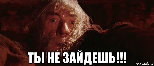  ты не зайдешь!!!, Мем бегите глупцы