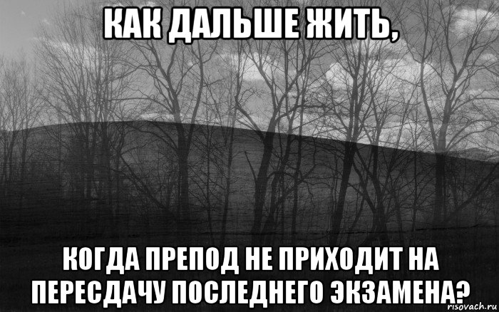 как дальше жить, когда препод не приходит на пересдачу последнего экзамена?, Мем безысходность лес