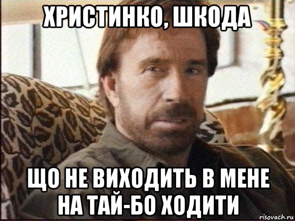 христинко, шкода що не виходить в мене на тай-бо ходити, Мем чак норрис